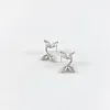 انتزاع أجزاء من أجزاء أجزاء من صلصصصصصصلصصخر صلصب في أذنه Item Picture